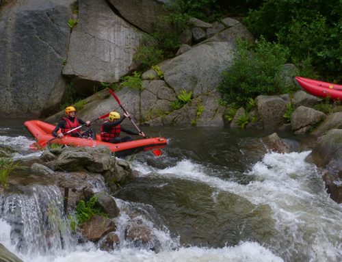 Venez découvrir les gorges de l’Allier au fil de l’eau